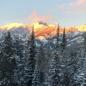 Meet your Posher, Jayne